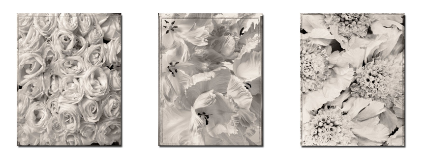 photography by Seamus Ryan