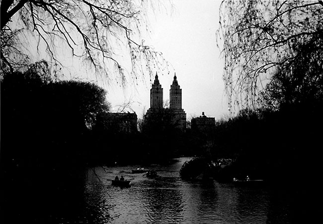photography by Carolyn Schaefer