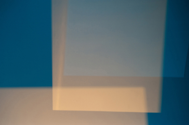 photography by Steven Silverstein