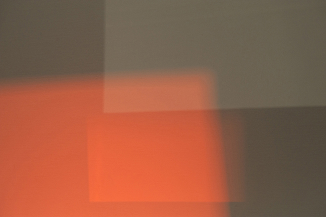 photography by Steven Silverstein