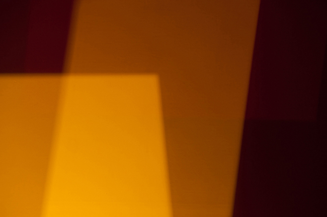 photography by Steven Silverstein