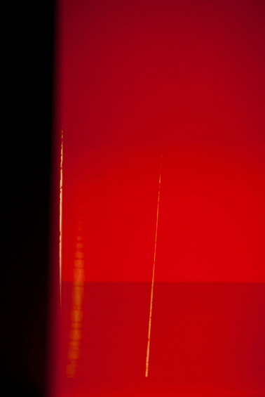 photography by Steven Silverstein