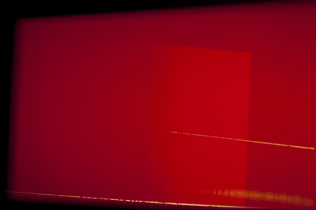 photography by Steven Silverstein