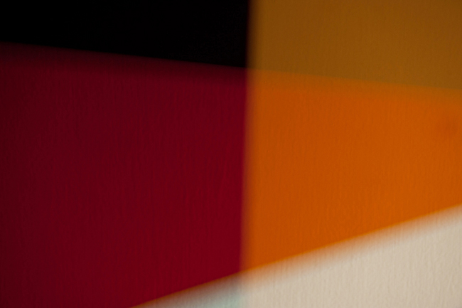 photography by Steven Silverstein