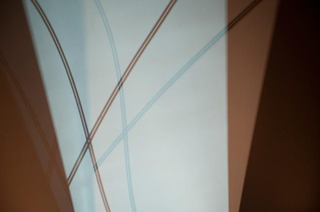 photography by Steven Silverstein