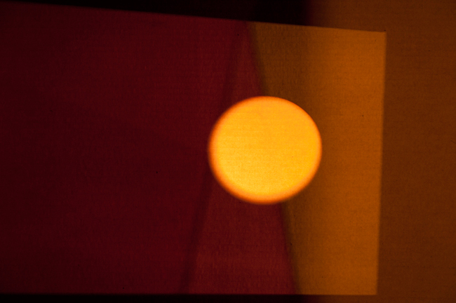 photography by Steven Silverstein