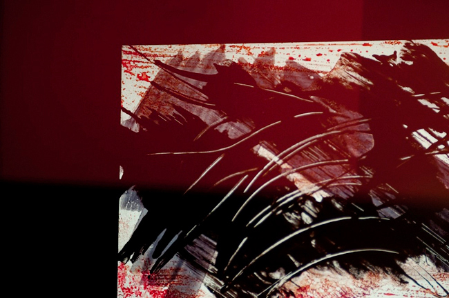 photography by Steven Silverstein