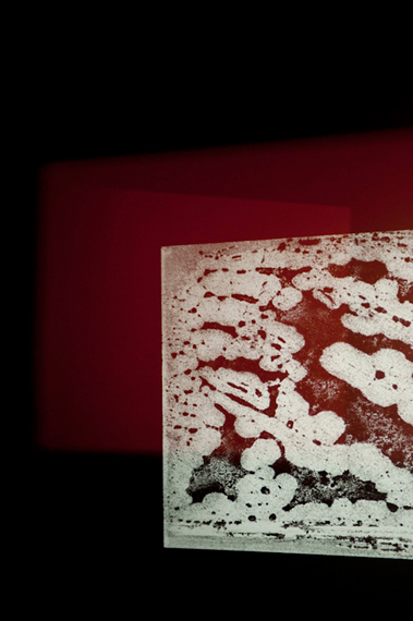 photography by Steven Silverstein