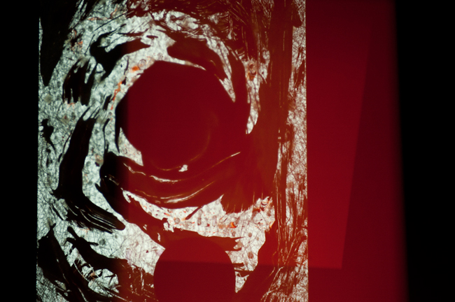 photography by Steven Silverstein