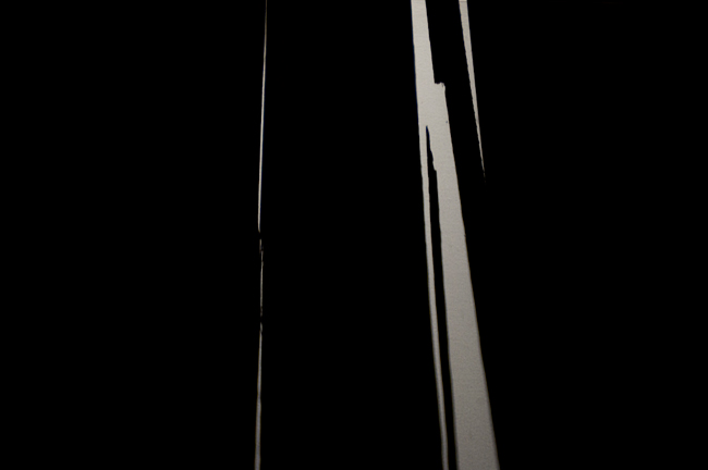 photography by Steven Silverstein