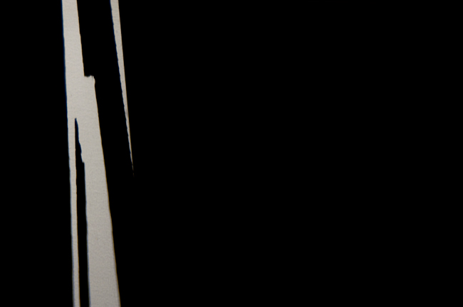 photography by Steven Silverstein