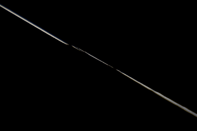 photography by Steven Silverstein