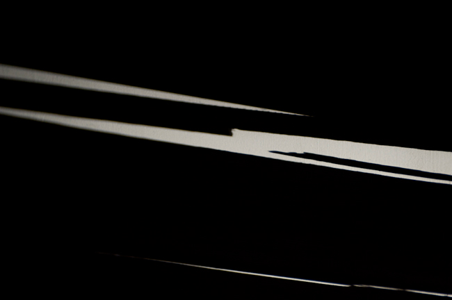 photography by Steven Silverstein