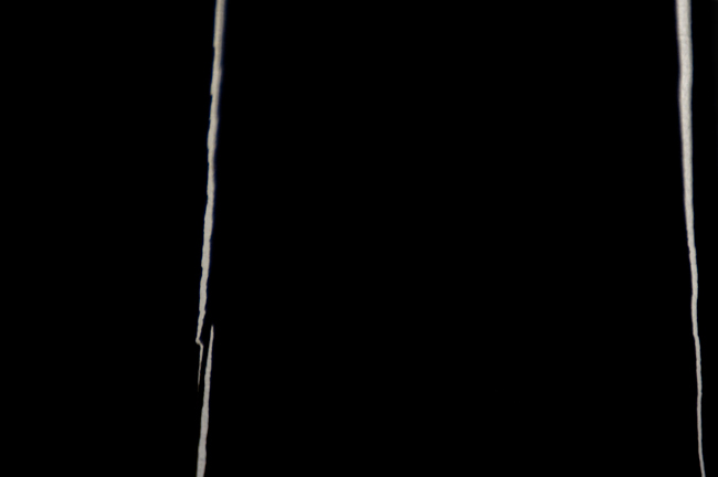 photography by Steven Silverstein