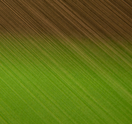 photography by Steven Silverstein