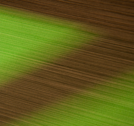 photography by Steven Silverstein