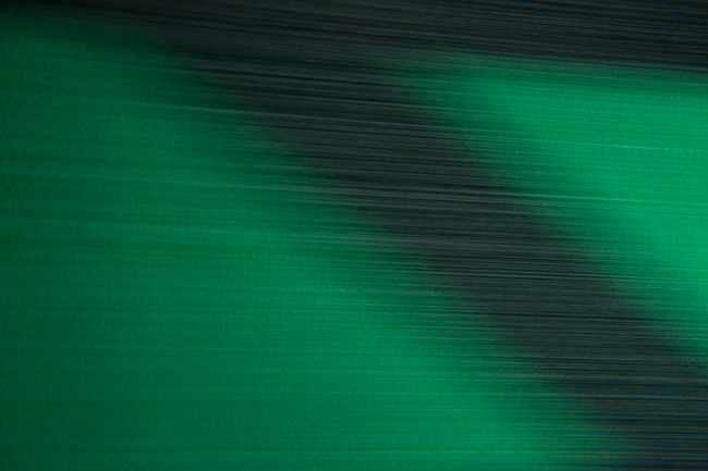 photography by Steven Silverstein