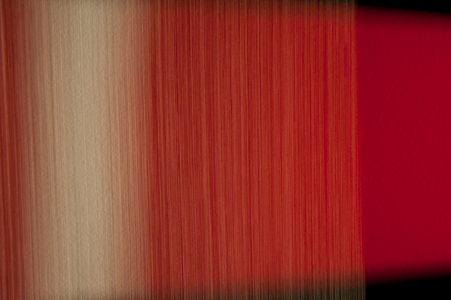 photography by Steven Silverstein