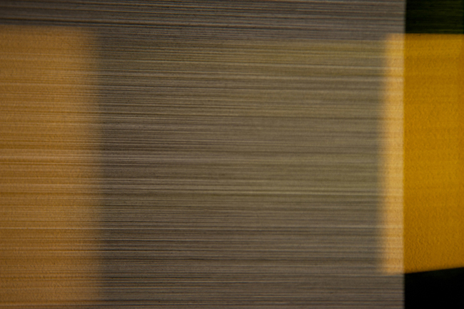 photography by Steven Silverstein