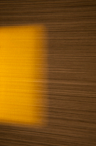 photography by Steven Silverstein