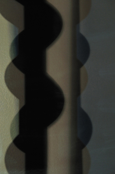 photography by Steven Silverstein