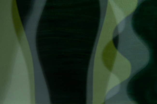 photography by Steven Silverstein