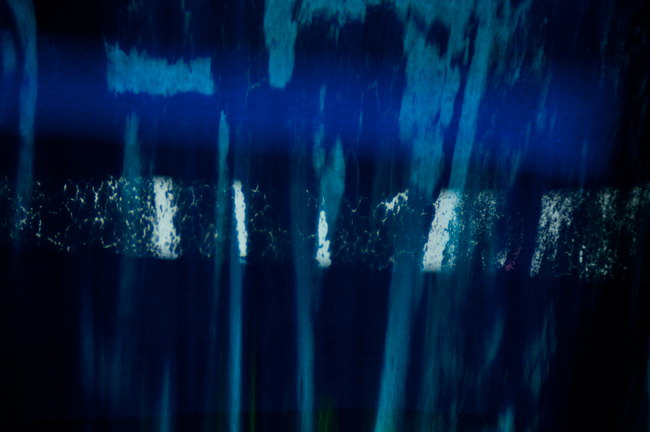 photography by Steven Silverstein