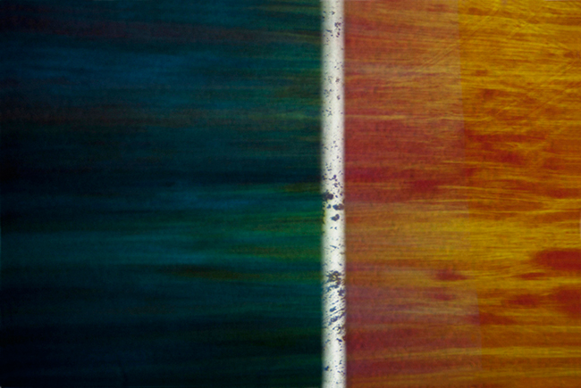 photography by Steven Silverstein