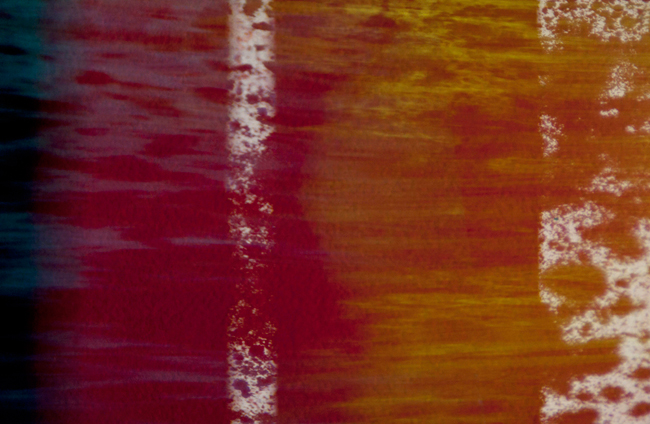 photography by Steven Silverstein