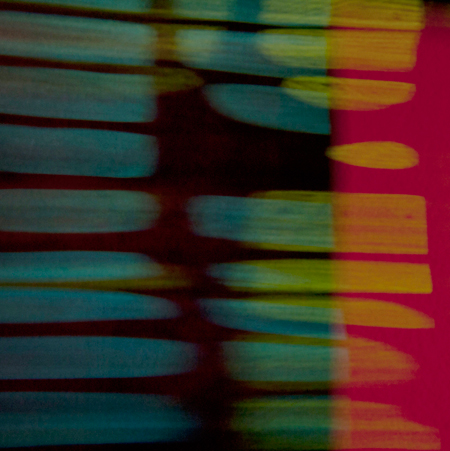 photography by Steven Silverstein