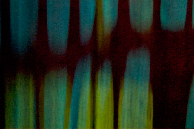 photography by Steven Silverstein