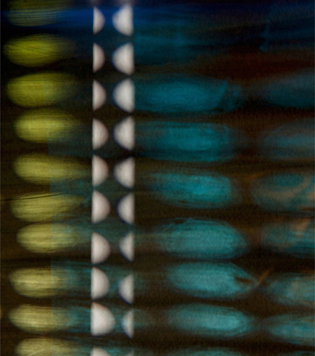 photography by Steven Silverstein