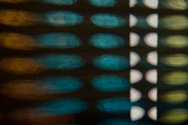 photography by Steven Silverstein