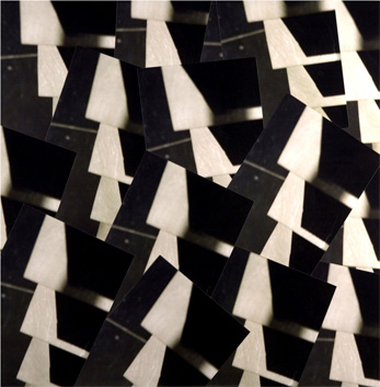 photography by David Slovic