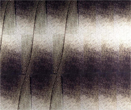 photography by David Slovic