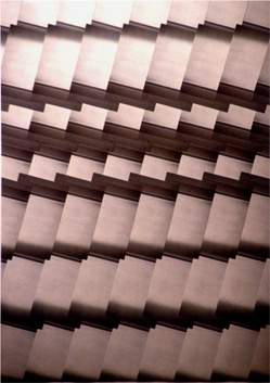 photography by David Slovic