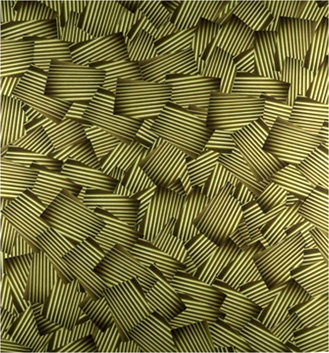 photography by David Slovic