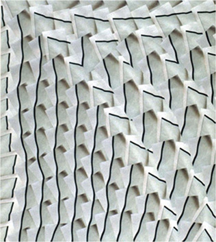 photography by David Slovic