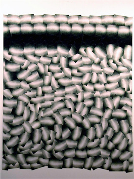 photography by David Slovic