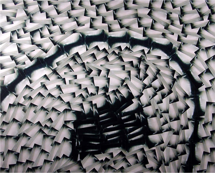 photography by David Slovic