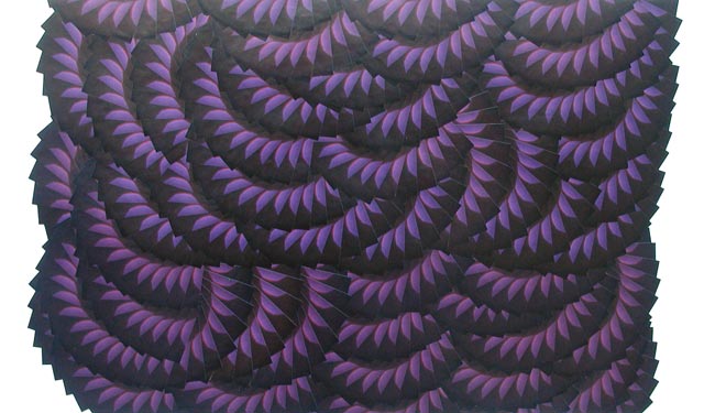 photography by David Slovic