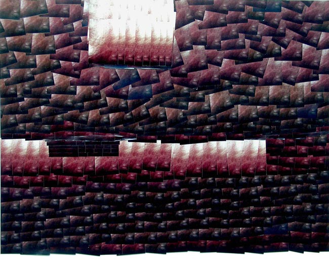 photography by David Slovic