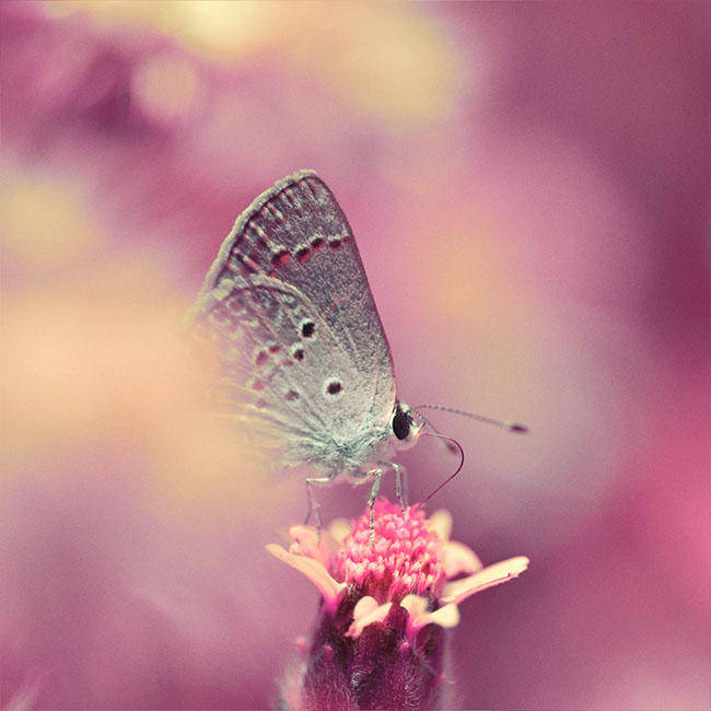 photography by Graciela Socorro