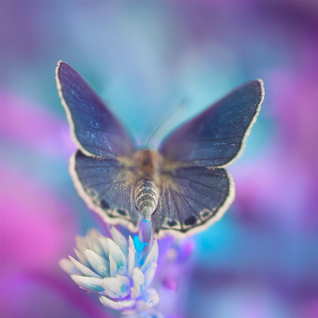 photography by Graciela Socorro