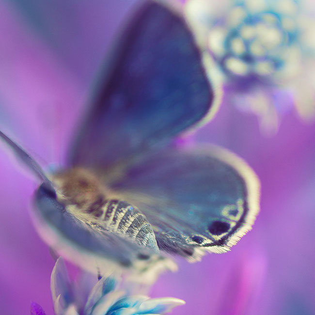 photography by Graciela Socorro