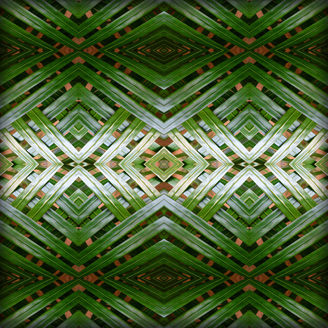 photography by Graciela Socorro