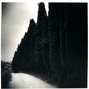 photography by Harvey Stein