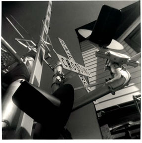 photography by Harvey Stein