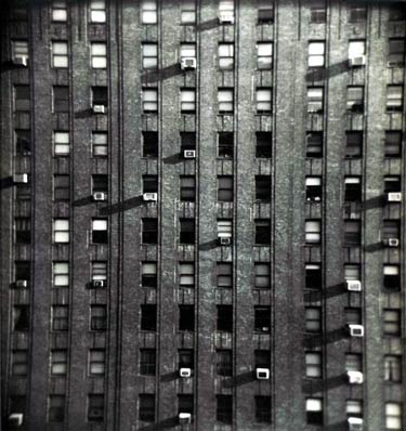 photography by Harvey Stein