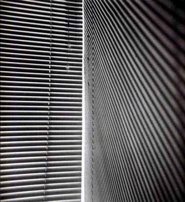 photography by Harvey Stein